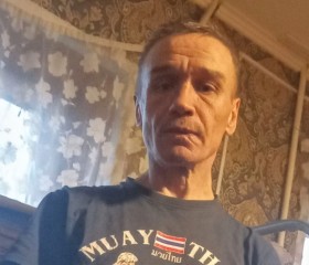 Александр, 49 лет, Нижний Новгород
