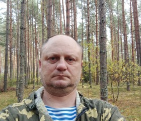 Igor, 49, Kovrov