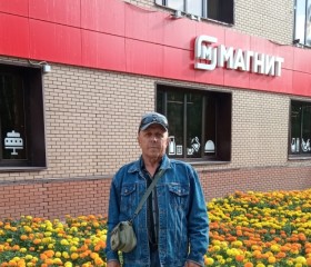 Николай, 67 лет, Урай