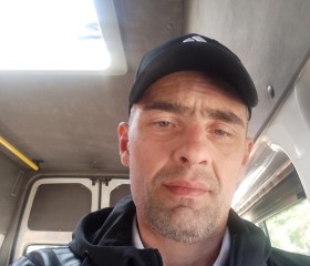 Nikolay, 43, Reftinskiy