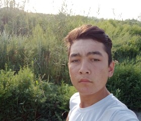 Davronbek, 19 лет, Toshkent