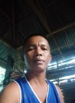 Marlon Rafael, 43 года, Lungsod ng Dabaw