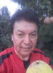 Luis Tovar, 60 лет, San Mateo Atarasquíllo
