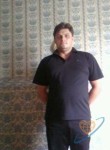 птица, 34 года