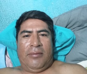 Felipe, 45, Playa del Carmen