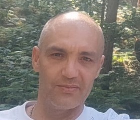 Alik, 51, San Fernando de Henares