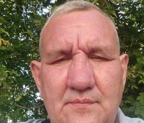 Анатолий, 52 года, Казань