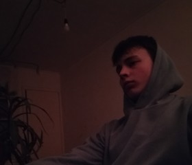 Matvey, 18, Voronezh