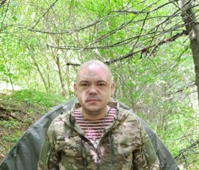 Михаил, 36 лет, Белгород