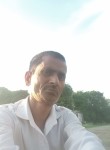 नौशादफरीदी, 38 лет, New Delhi