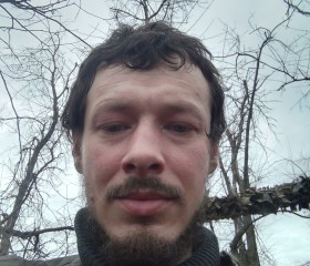 Дима, 37 лет, Ярославль