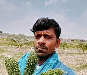 Vijay Kumar, 31 год, Naugachhia