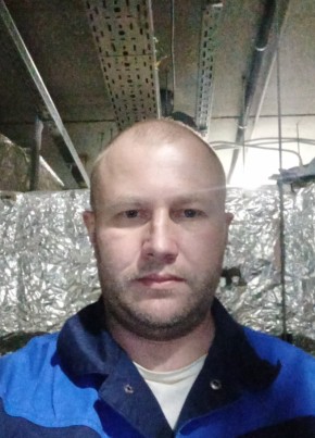 Sergey, 41, Russia, Samara
