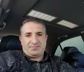 Zaur Neymetov, 37 лет, Bakı