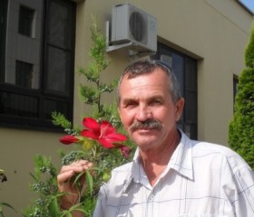 Леонид, 74 года, Краснодар