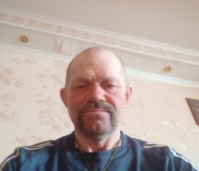 Анатолий Киселев, 56 лет, Тазовский
