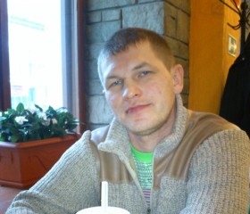Станислав, 46 лет, Пышма