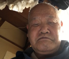 ハンサム, 80 лет, 天童