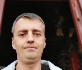 Алексей, 46 лет, Советск (Тульская обл.)