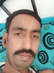 Ravi, 34 года, Pushkar