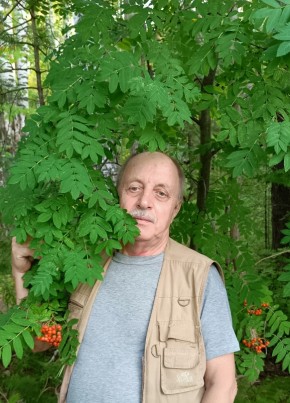 Вячеслав, 74, Россия, Агаповка