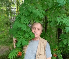 Вячеслав, 74 года, Агаповка