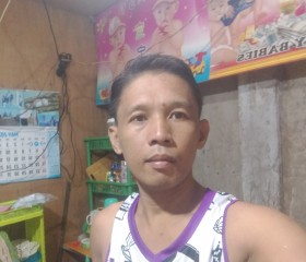 Reynaldo, 41 год, Cebu City