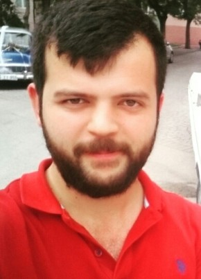Mehmethan28, 31, Türkiye Cumhuriyeti, Şebinkarahisar