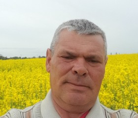 Анатолий, 53 года, Петровская