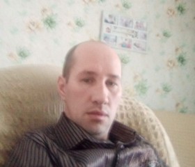 Николай, 43 года, Куйбышев
