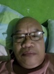 Tonie, 57 лет, Lungsod ng San Jose del Monte