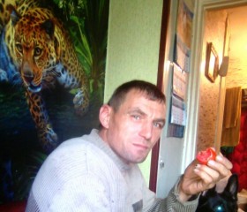 Олег, 44 года, Боровичи