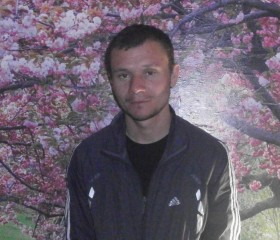 федор, 38 лет, Новосибирск