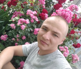 Алекс, 24 года, Симферополь