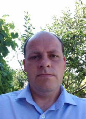 Iulian dragnea, 44, Romania, Timisoara