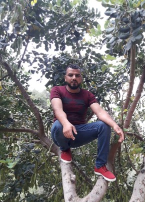 أمير محمد, 36, اَلْجُمْهُورِيَّة اَللُّبْنَانِيَّة, طرابلس