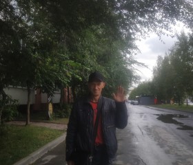 Олег Симонов, 60 лет, Новосибирск