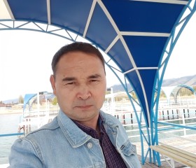 Али Жаркынович, 46 лет, Бишкек