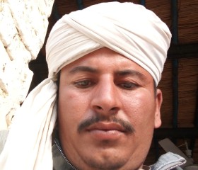 Shahzad, 25 лет, Washington D.C.