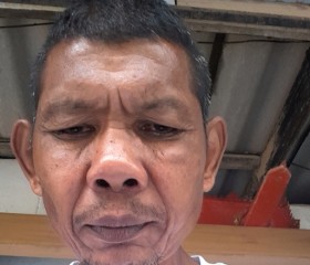 จงอางดำ, 19, Phunphin