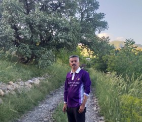 farzam, 45, Sanandaj