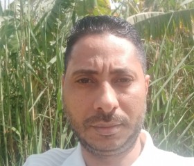 رمضان رفعت, 39, Cairo