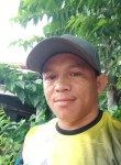 Rigan Lumanta, 43 года, Cebu City