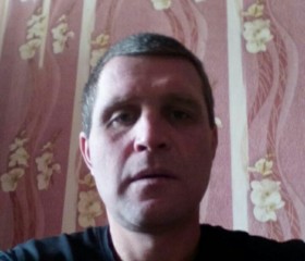Виталий, 42 года, Решетилівка
