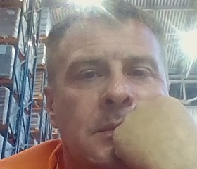 Denis, 46 лет, Липецк