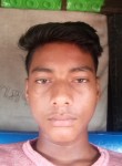 Akash Rana, 20 лет, Phulabāni