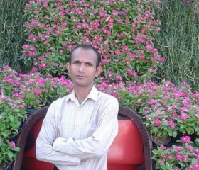 pandey, 35, Gorakhpur (Uttar Pradesh)
