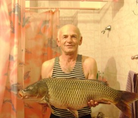 владимир, 76 лет, Орск