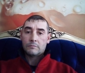 Damir, 40, Novosibirsk