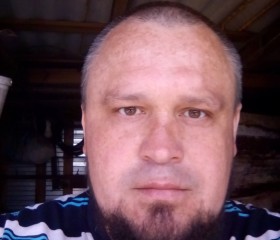 Николай, 44 года, Губкин